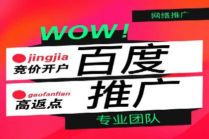 案例研究：SEM代运营服务公司的创新策略